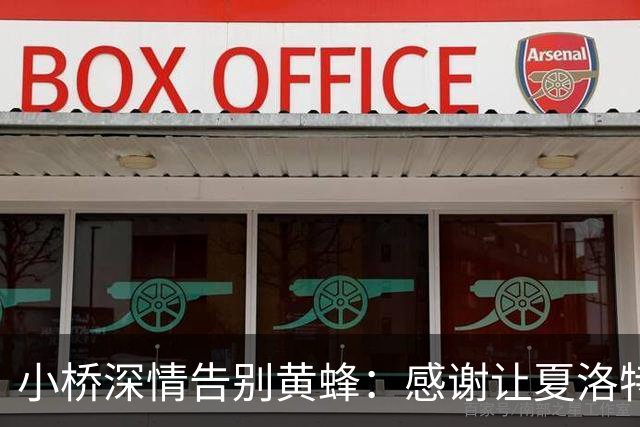 小桥深情告别黄蜂：感谢让夏洛特成为我的家 这里永远无可替代